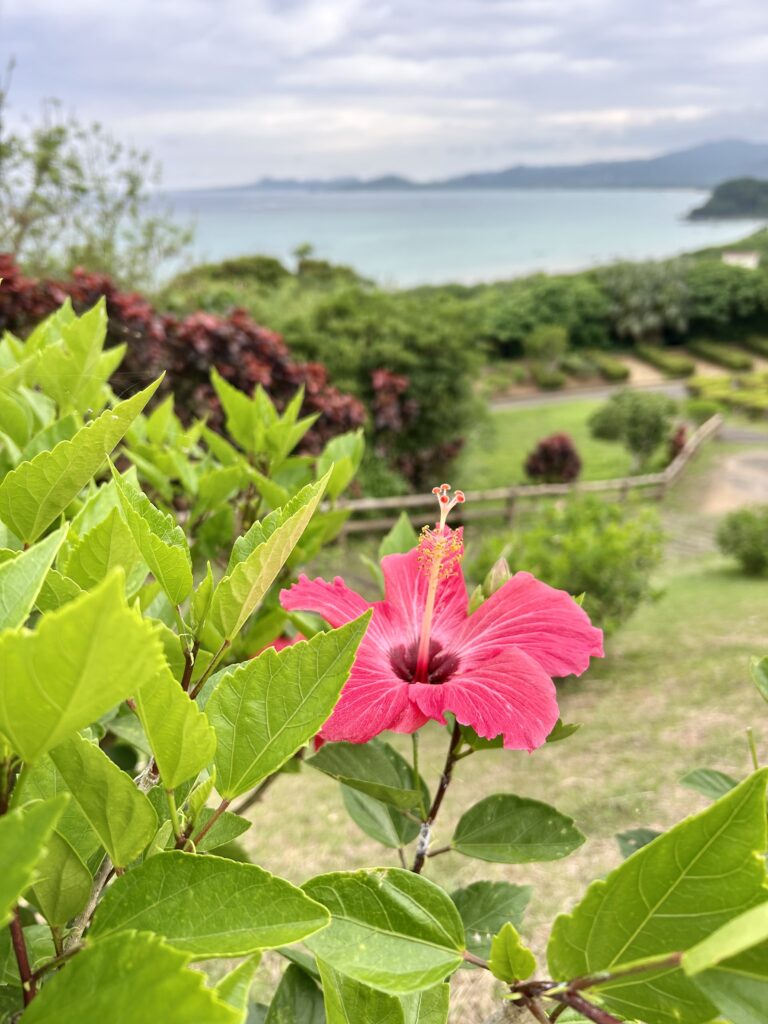Tropical flower with an ocean view in the background