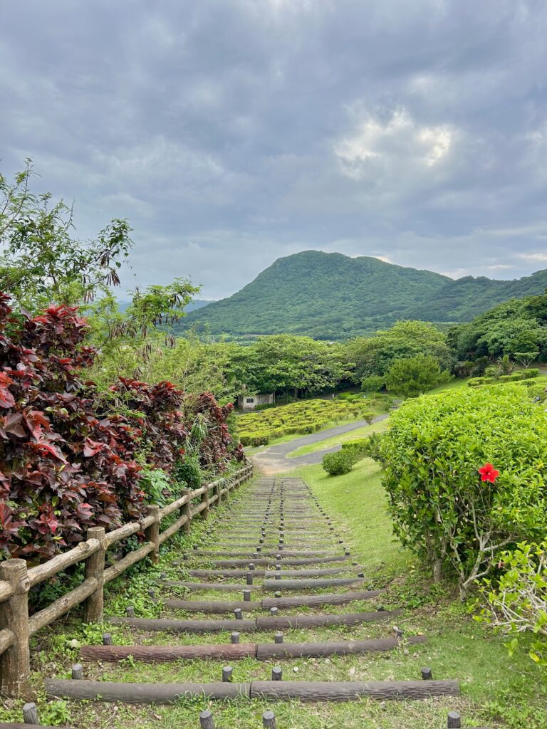 Panoramic view from Tamatorizaki Observation Point, Ishigaki Island
